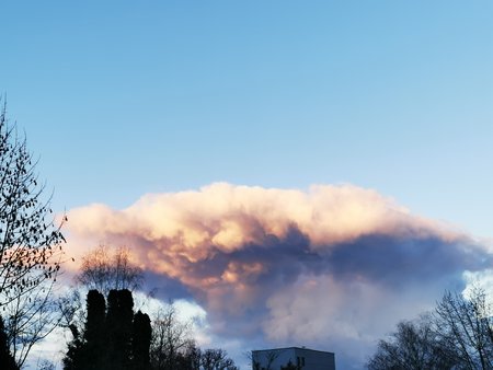 IMG_20201226_082116.jpg