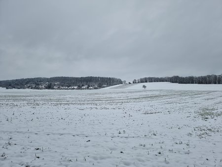 20210209_130120.jpg