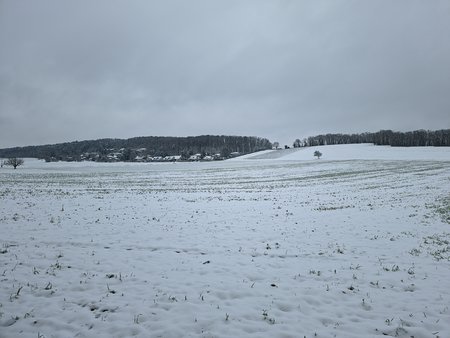 IMG_20210209_130109.jpg