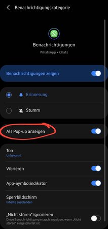 Screenshot_20210212-163442_Settings.jpg
