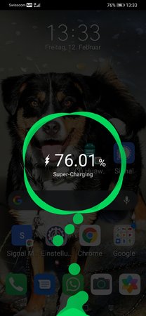 Screenshot_20210212_133351_com.huawei.android.launcher.jpg