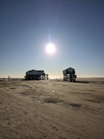 IMG_20210212_150253.jpg