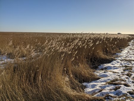 IMG_20210212_145142.jpg