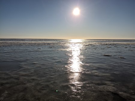 IMG_20210212_151801.jpg