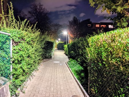 PXL_20210212_194525828.NIGHT.jpg