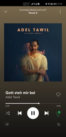 Screenshot_20210213_171808_com.spotify.music.jpg