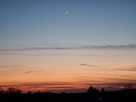 20210213_181912.jpg