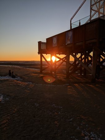 IMG_20210213_171812.jpg