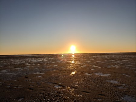IMG_20210213_170400.jpg