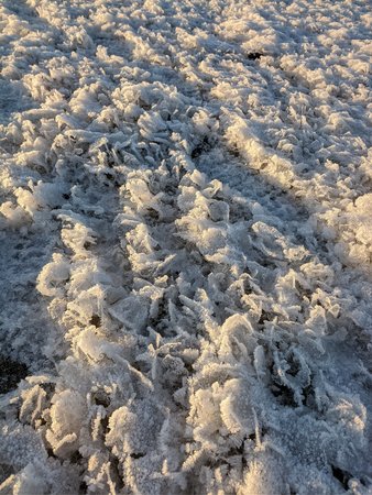 IMG_20210213_164846.jpg
