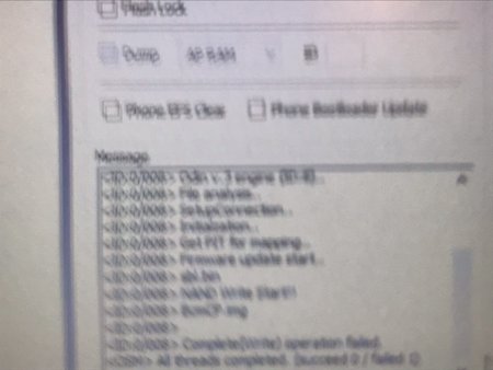 image1.jpeg