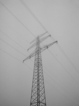 IMG_20210216_072939.jpg
