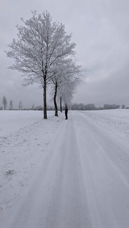 PXL_20210209_163433224.jpg