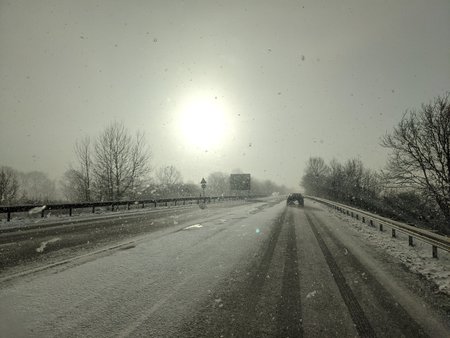 PXL_20210212_082143181.jpg