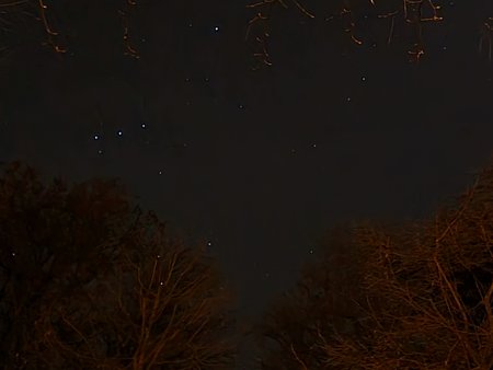 20210219_202006.jpg