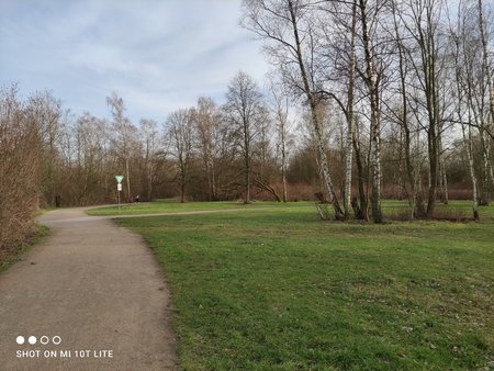 IMG_20210220_162651.jpg