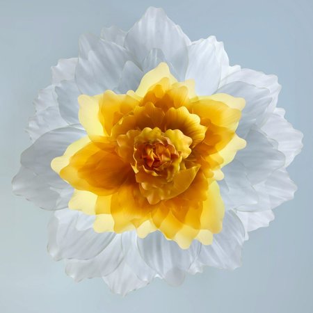 Huawei-Mate-X2-Wallpaper-8.jpg