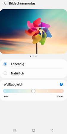 neu3.jpg