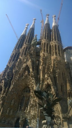 WP_20170609_10_34_53_Pro__highres.jpg