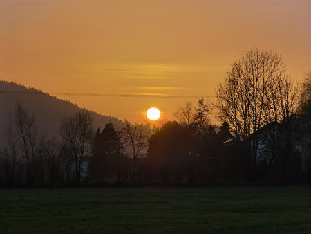 IMG_20210225_175129.jpg