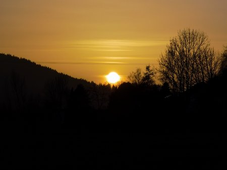 IMG_20210225_175137.jpg