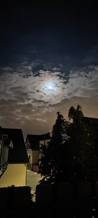 IMG_20210227_205330.jpg