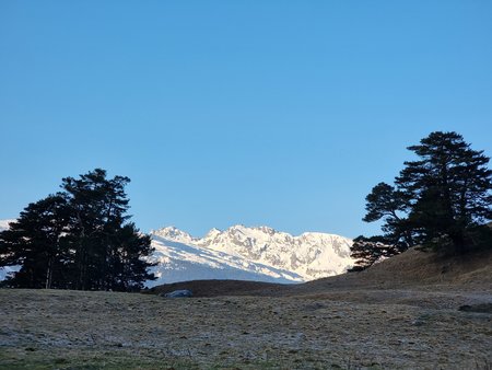 20210228_075211.jpg