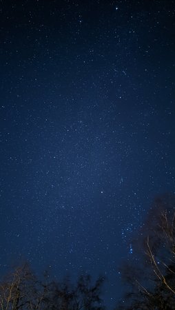 PXL_20210228_184819399.NIGHT.jpg