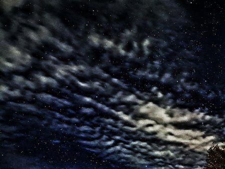 IMG_20201114_035608-01.jpeg