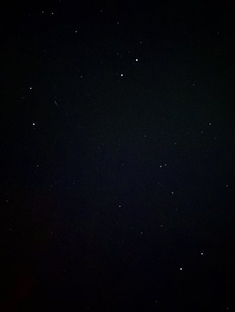 369B3516-ECC8-48FE-A5CB-825894B39E21.jpeg