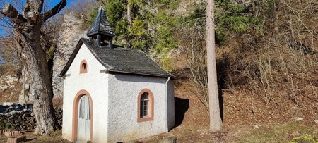 20210221_103714.jpg