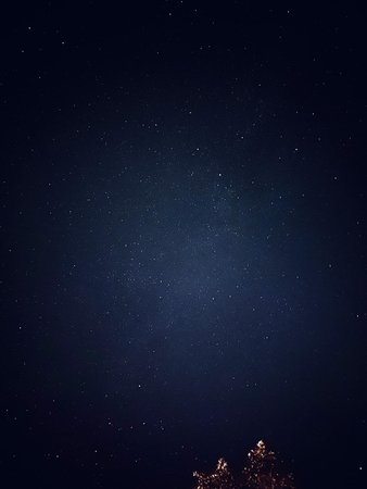 83CEAB76-CCEE-40E4-AFB8-9782508D23A8.jpeg