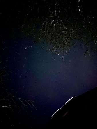 A3187608-DE60-4402-8A12-762F9A1B4AE3.jpeg