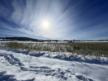 E032BD1E-05B0-454C-A149-C49A717913F8.jpeg