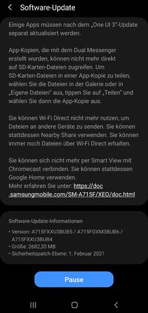 Screenshot_20210304-130649_Software update.jpg