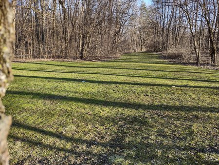 IMG_20210301_161941643_HDR.jpg