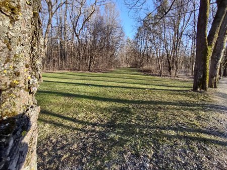 IMG_20210301_161948463_HDR.jpg