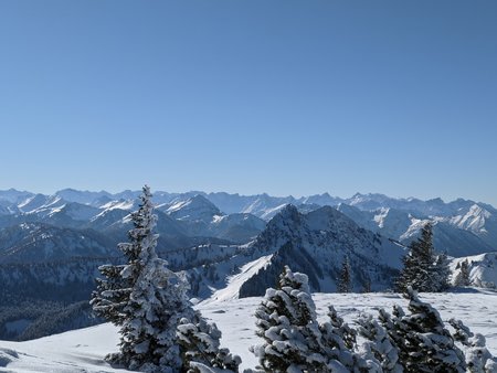 PXL_20210213_110758647.jpg