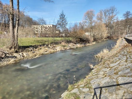 AMBI_20210306_114759.jpg
