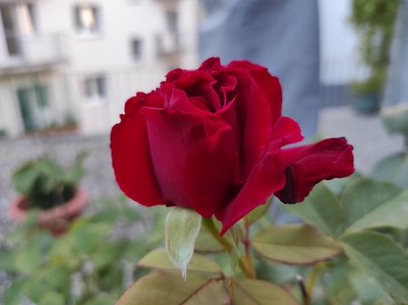 2020-09-11-04_Redmi-Note-9-Pro_64M.jpg