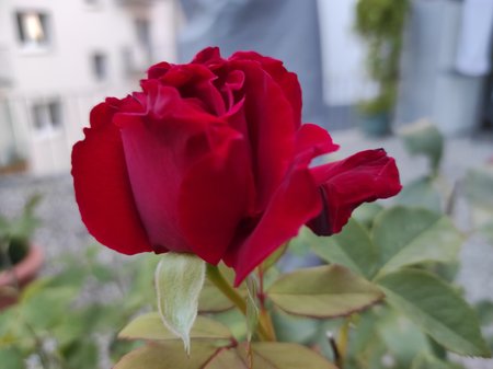 2020-09-11-06_Redmi-Note-9-Pro_Pro.jpg