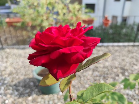 2020-09-12-09_Redmi-Note-9-Pro_Pro.jpg