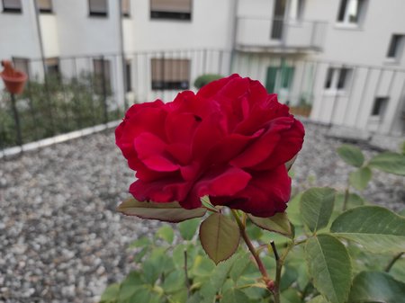 2020-09-12-10_Redmi-Note-9-Pro_64M.jpg