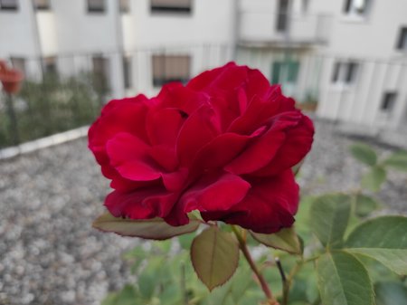 2020-09-12-11_Redmi-Note-9-Pro_64M.jpg