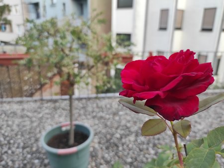 2020-09-12-12_Redmi-Note-9-Pro_64M.jpg