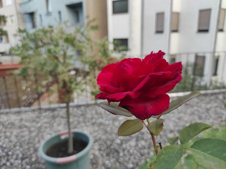 2020-09-12-15_Redmi-Note-9-Pro_Pro.jpg