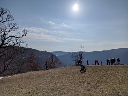 IMG_20210307_150936.jpg
