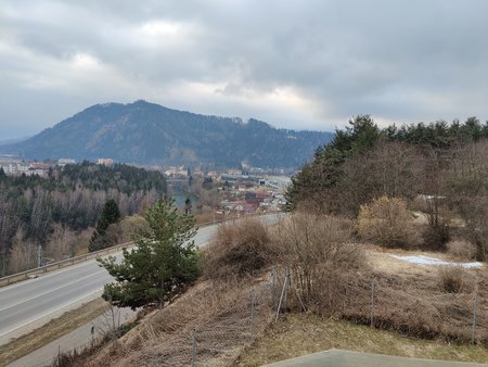IMG_20210309_082234.jpg