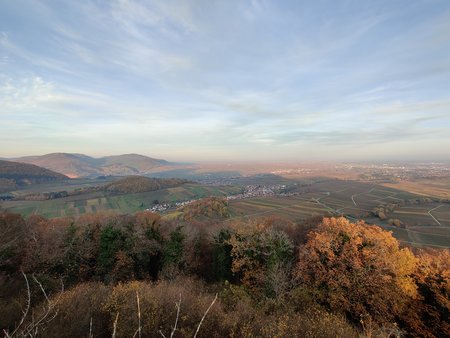 IMG_20201114_161452.jpg