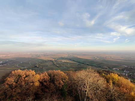 IMG_20201114_161438.jpg